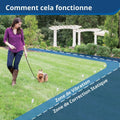 Clôture anti fugue avec fil pour chien plus de 3,6 kg 4 niveaux étanche