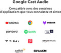 Récepteur audio WiFi AirPlay 2 Cast multiroom haute résolution