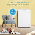 Congélateur coffre RCC146WH2EU 143L convertible compresseur inverter 4 étoiles blanc