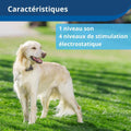 Clôture anti fugue avec fil pour chien plus de 3,6 kg 4 niveaux étanche
