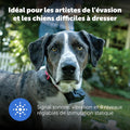 Clôture anti fugue collier et fil pour grand chien étanche