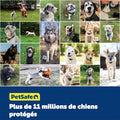 Clôture anti fugue collier et fil pour grand chien étanche