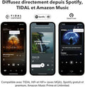 Récepteur audio WiFi AirPlay 2 Cast multiroom haute résolution