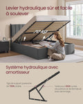Lit coffre 160x200 cm sommier relevable rangement hydraulique gris foncé